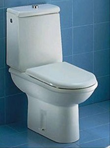 Poza WC cu rezervor pe vas Dolomite model Clodia
